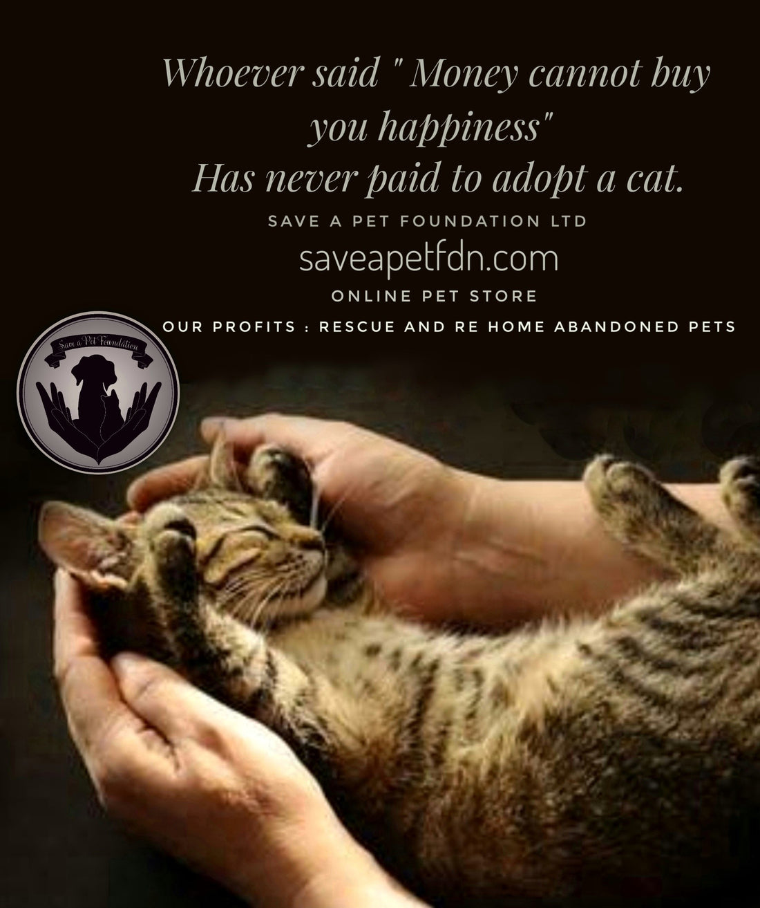 Reasons Why You Should Adopt a Pet and not buy