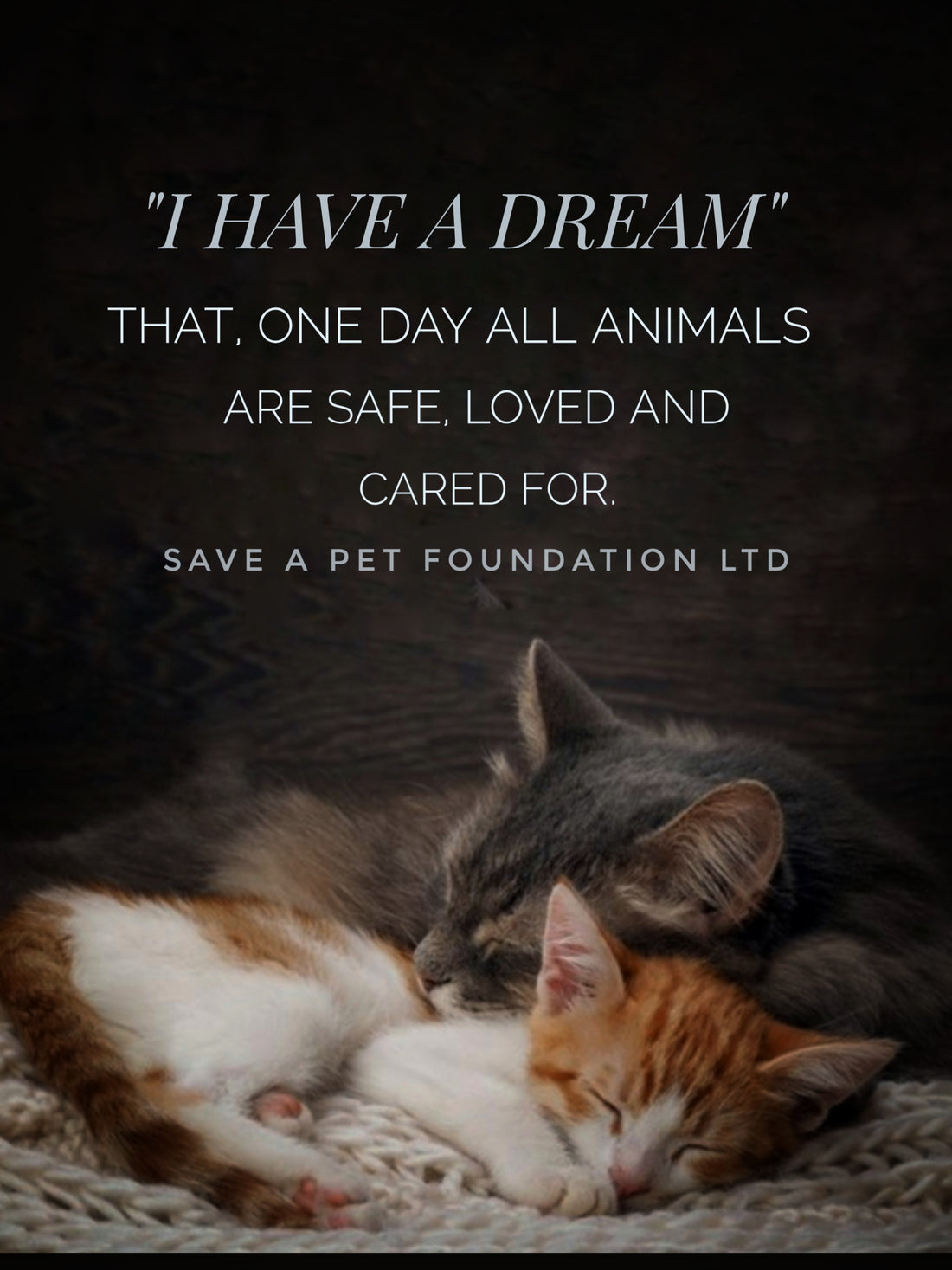 I HAVE A DREAM