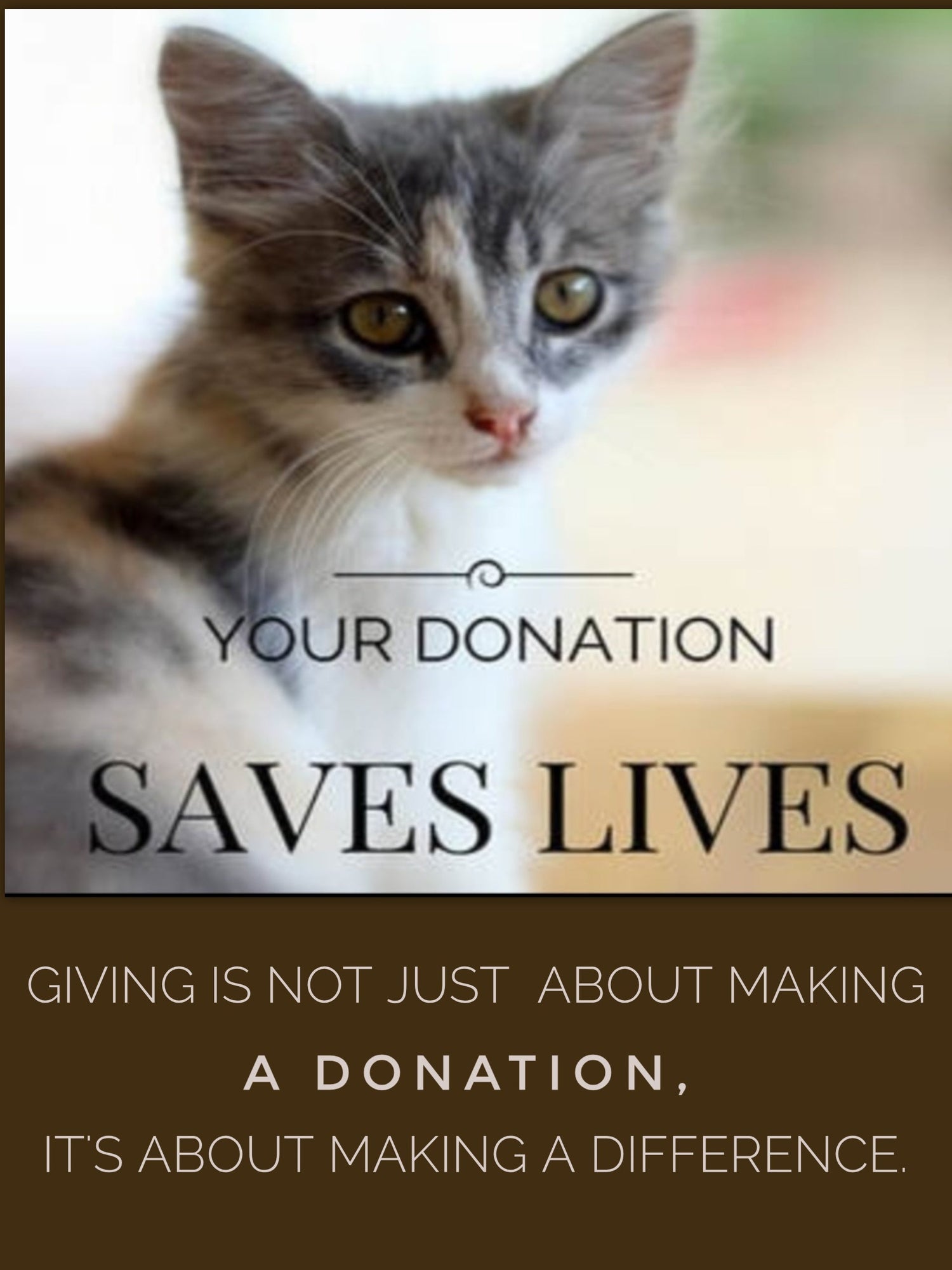 Donation